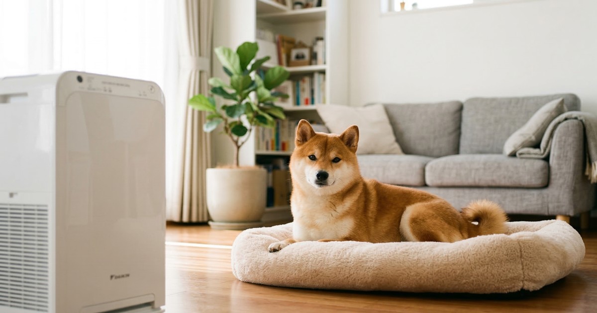 清潔なリビングのベッドでくつろぐ赤柴と空気清浄機